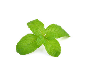mint leaves  on white background