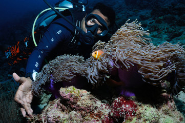 Diver and clownfish