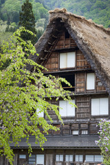 Fototapeta na wymiar Traditional and Historical Japanese village Ogimachi - Shirakawa