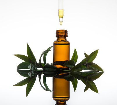 Essential oil with myrtle leaves, in amber glass bottle with dropper, with white background and reflection 