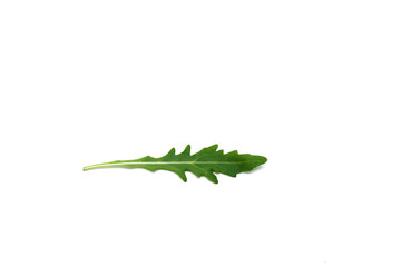 Rucola leaf