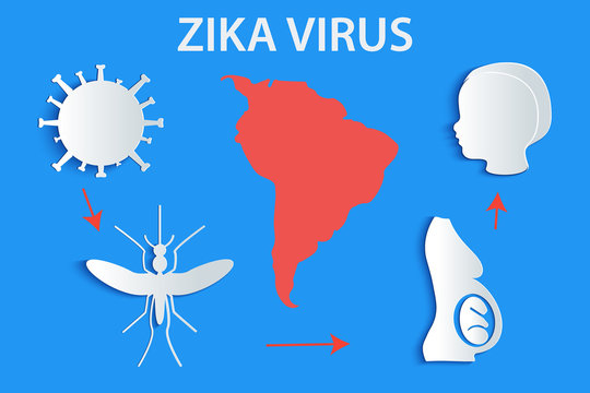Mosquito aedes, zika virus, baby, pregnant woman with map of south america. Zika virus Outbreak and awareness infographics. Paper, origami, 3d concept.