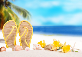 Summer concept of sandy beach, flip flop, narcissus and starfish.