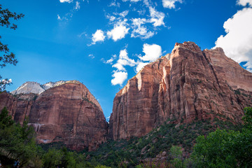 Fototapeta premium Zion National Park 