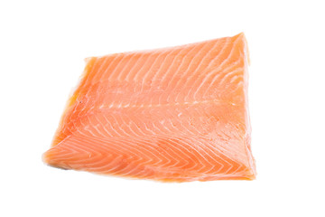 Salmon meat isolated on white