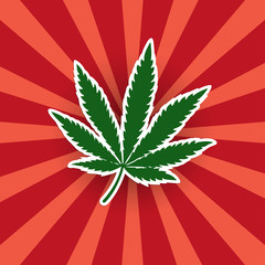 Cannabis leaf green sticker on a bright background
