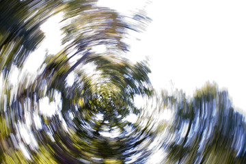 Naklejka premium Abstract Swirl of Trees
