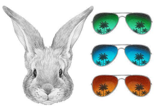 Portrait of Rabbit with mirror sunglasses. Hand drawn illustration.