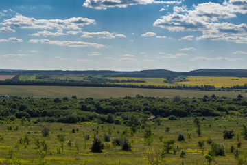 background fractal world