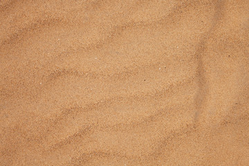 Texture of dry beach sand