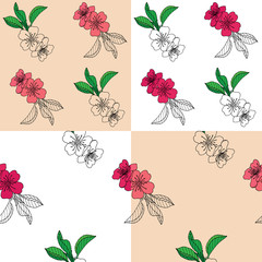A set of apple blossom patterns
