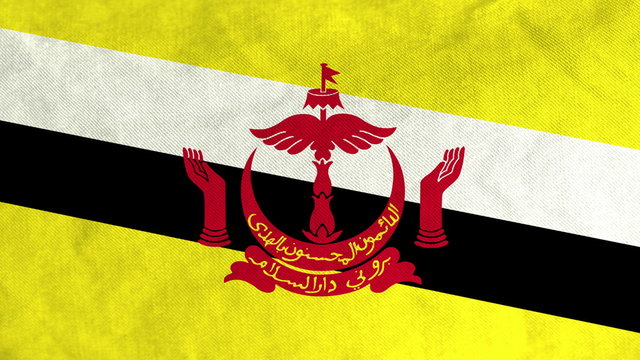 Bruneian flag waving in the wind (full frame footage in 4K UHD resolution).