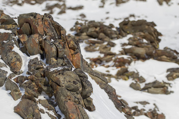 The texture of the snow-capped mountains. Spitsbergen (Svalbard)