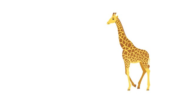 Giraffe Cycle / Isolated cartoon giraffe walking animation.
