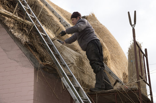 Thatcher with  a spar to secure combed wheat reed on the roof of a house