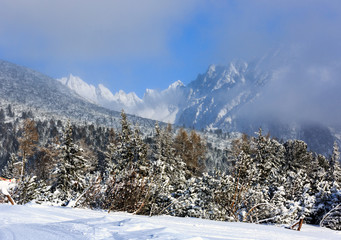 Nice landscape in winter Tatras,