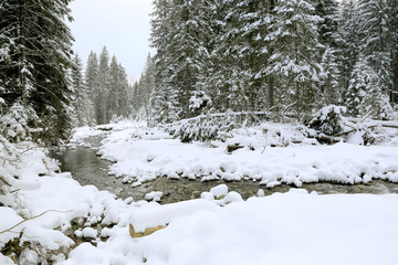 river in witer forest