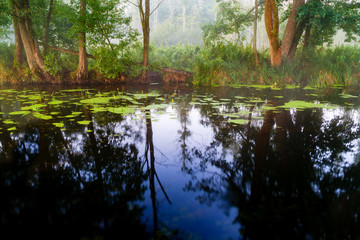 Rzeka Supraśl © podlaski49