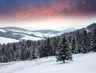 Fototapeta na wymiar winter scene in mountains