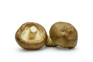 Shiitake Mushrooms