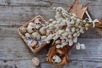 Bark of the tree, basket with quail eggs and bouquet of willow 