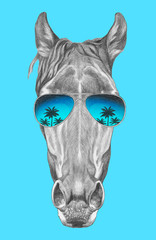 Portrait of Horse with mirror sunglasses. Hand drawn illustration.