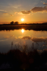 Obraz premium Reinheimer Teich, abends