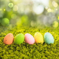 Easter eggs on the grass 