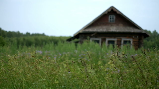 Swaying grass with country house.