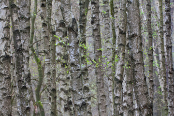 Obraz premium Aufbruch