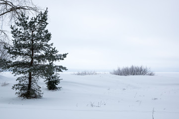 Finnish Gulf in winter
