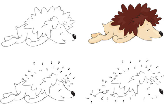Cartoon hedgehog sleeping. Coloring book and dot to dot game for