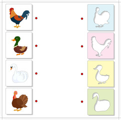 Cock, drake, gobbler and swan. Educational game for kids