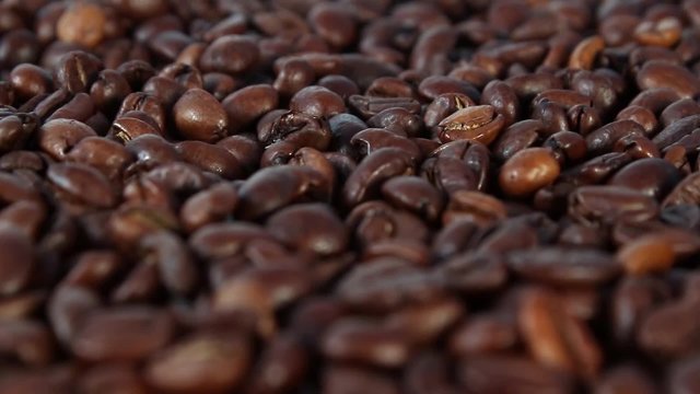 coffe beans