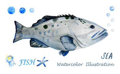 Watercolor tropical fish.