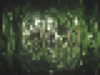 Fototapeta na wymiar Bokeh light, shimmering blur spot lights on green abstract 