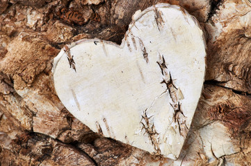 Birch heart on a birch background