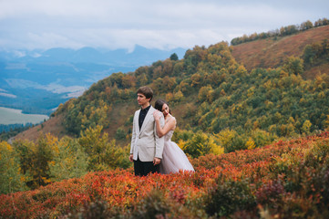 Fototapeta na wymiar happy newly married couple posing in the mountains