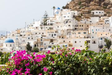 Naklejka premium Wonderful view of City buildings in Ios Island, Greece