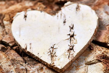 Birch heart on a birch background