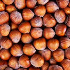Stack of hazelnuts. Hazelnut background