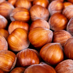 Stack of hazelnuts. Hazelnut background