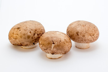Champignons