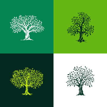 Beautiful oak and olive trees silhouette set on green background. Infographic modern isolated vector sign. Premium quality illustration logo design concept.