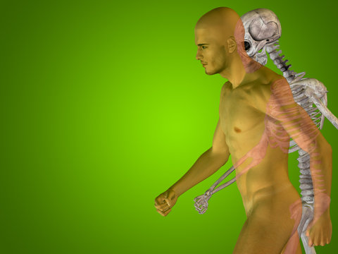 Conceptual Anatomy human body on green