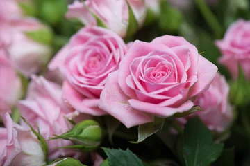 Tuinposter Roze rozen in de tuin © Laszlo