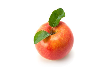 Red apple with green leaf.