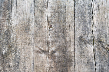 Fototapeta premium Aged weathered antique wooden board with knots for background
