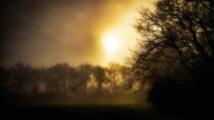 Fotobehang Chocoladebruin Morning Fog at Peeler  © richardbarrow