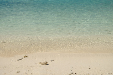 The crystal clear and shallow waters on the islands of the tropi